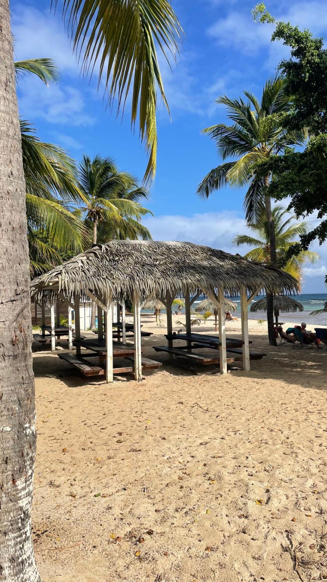 Studio Hibiscus Anse Des Rochers Saint Francois Saint-Francois (Grande-Terre) Exterior foto