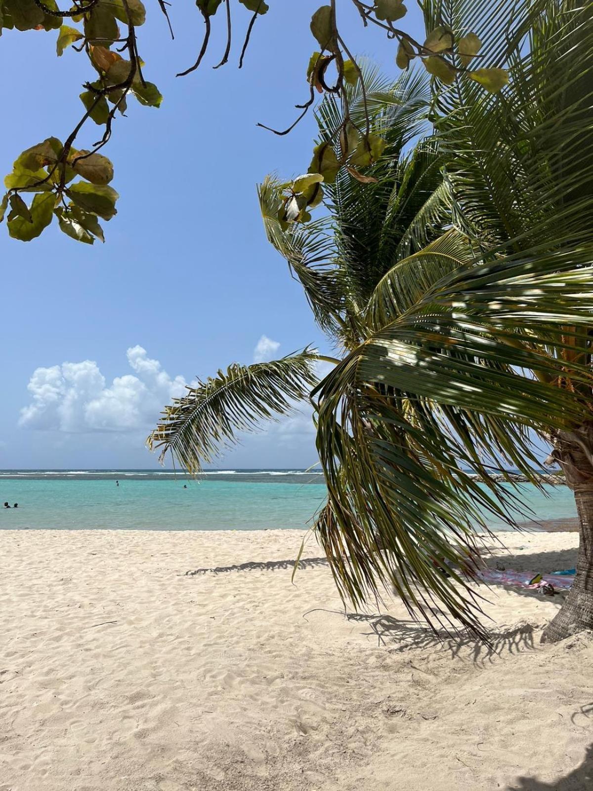 Studio Hibiscus Anse Des Rochers Saint Francois Saint-Francois (Grande-Terre) Exterior foto
